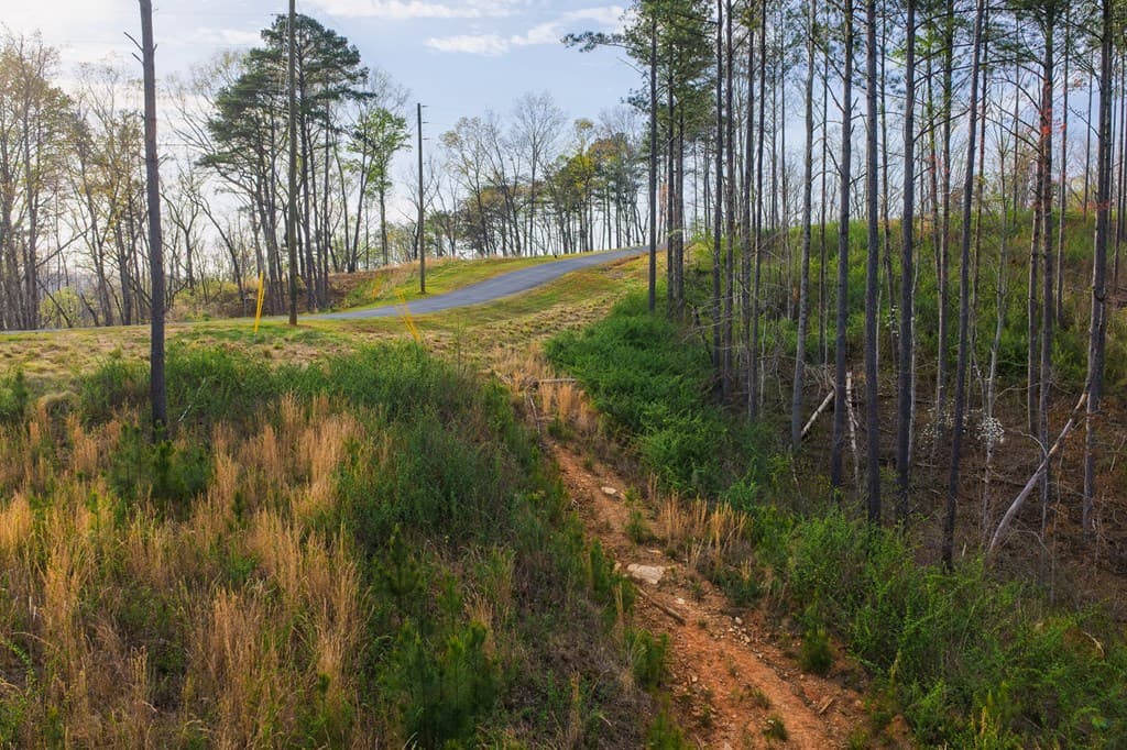 Lot 226 West Vista Ridge Parkway, Talking Rock GA 30175 - Photo