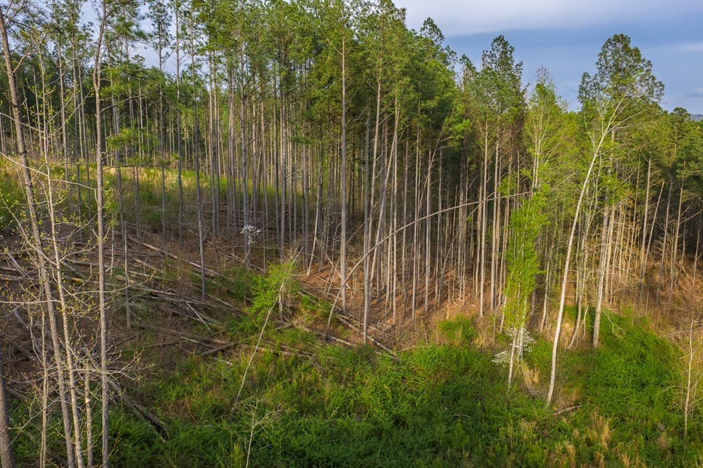 Lot 226 West Vista Ridge Parkway, Talking Rock GA 30175 - Photo
