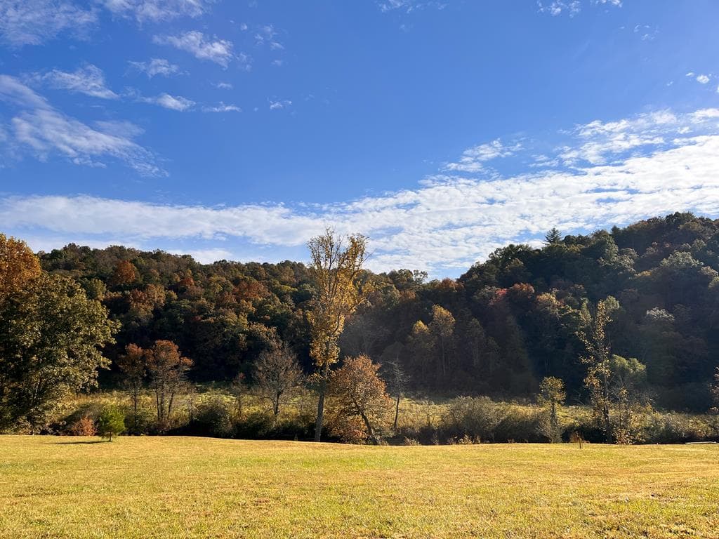 LOT 5 Sexton Circle, Ellijay GA 30450 - Photo