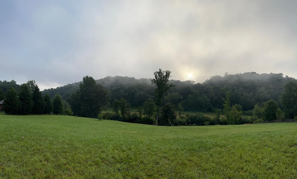 LOT 5 Sexton Circle, Ellijay GA 30450 - Photo