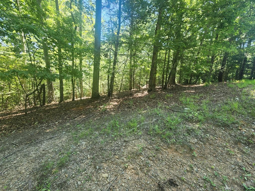 Lot 3 Meadow View Drive, Morganton GA 30560 - Photo