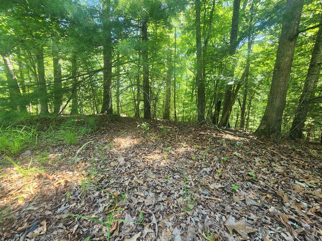 Lot 3 Meadow View Drive, Morganton GA 30560 - Photo