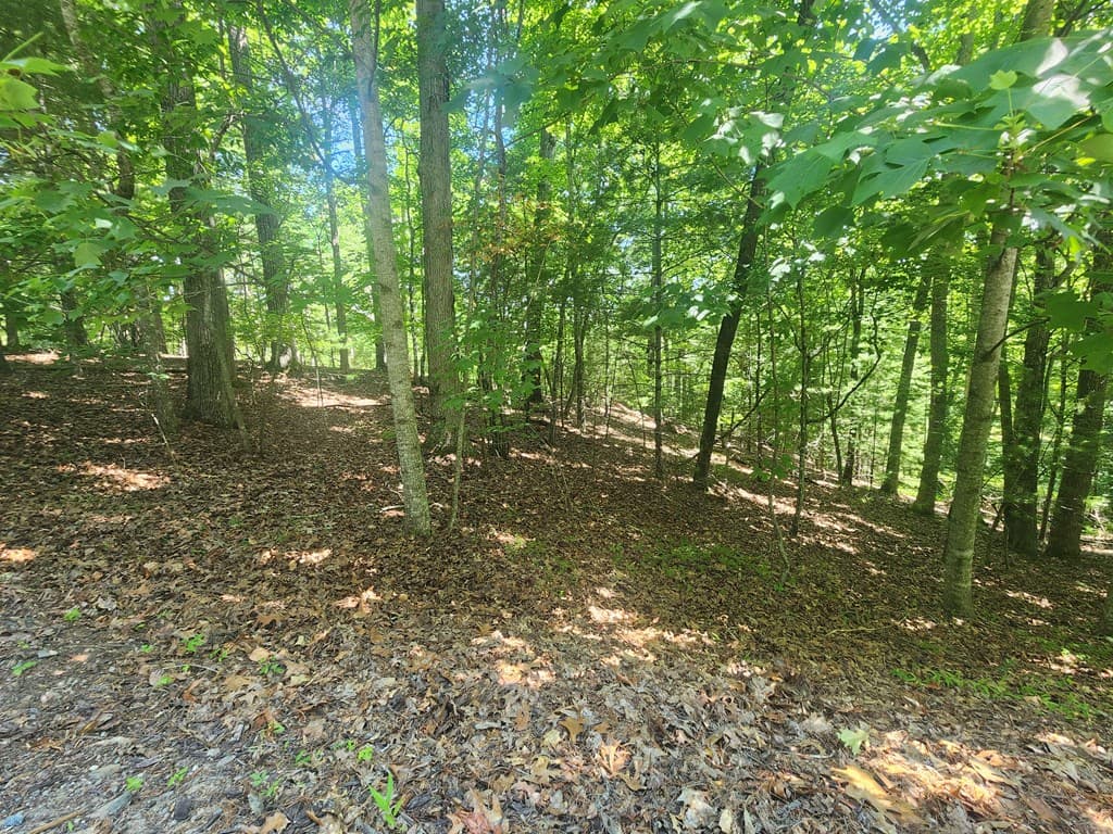Lot 3 Meadow View Drive, Morganton GA 30560 - Photo