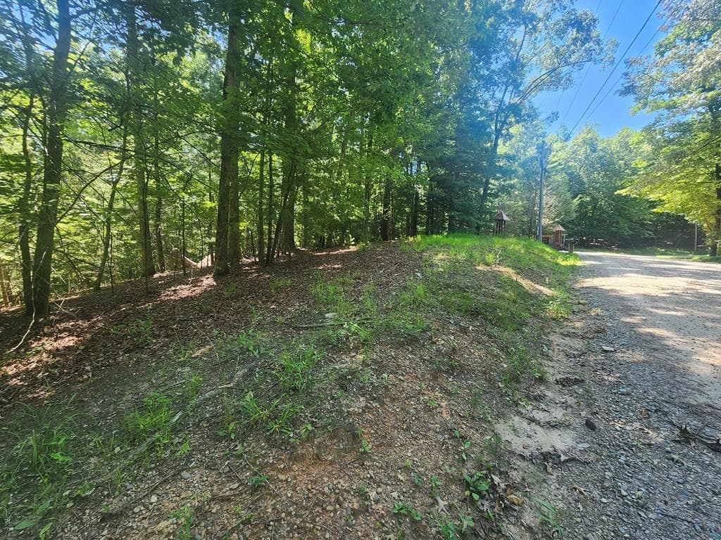 Lot 3 Meadow View Drive, Morganton GA 30560 - Primary photo