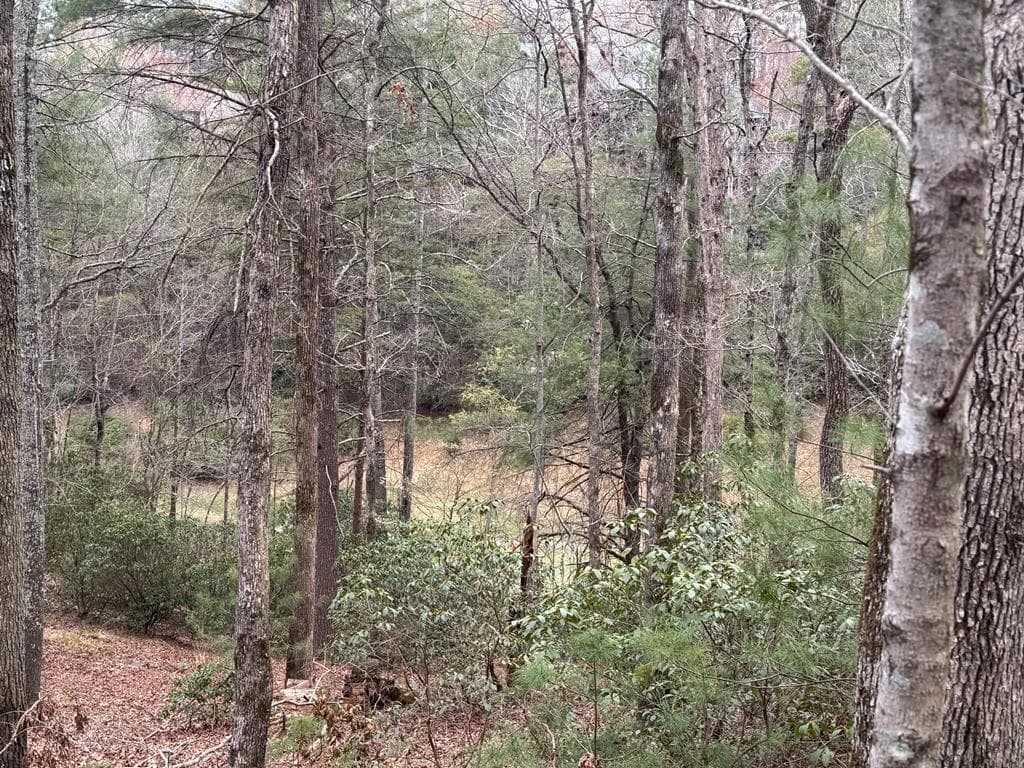 Lot 43 Seneca Drive, Ellijay GA 30540 - Photo