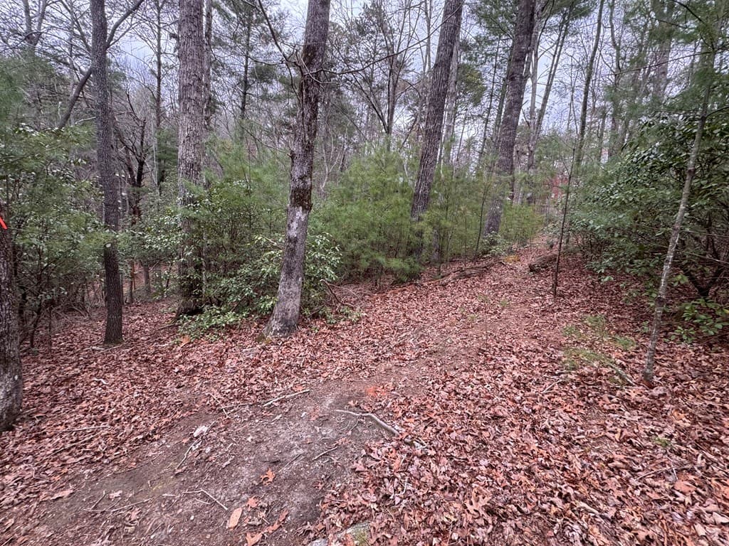 Lot 43 Seneca Drive, Ellijay GA 30540 - Photo