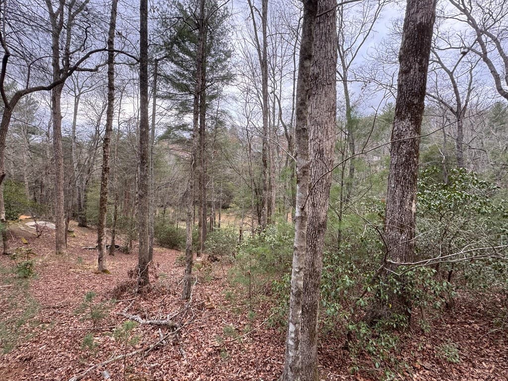 Lot 43 Seneca Drive, Ellijay GA 30540 - Photo