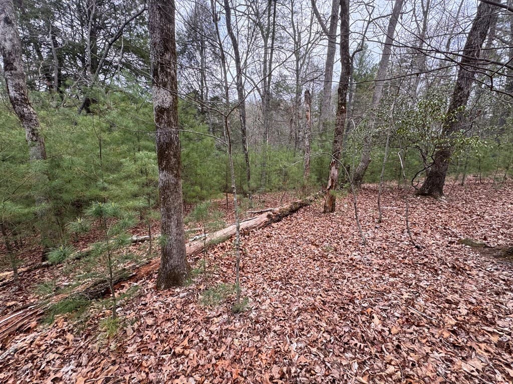 Lot 43 Seneca Drive, Ellijay GA 30540 - Photo