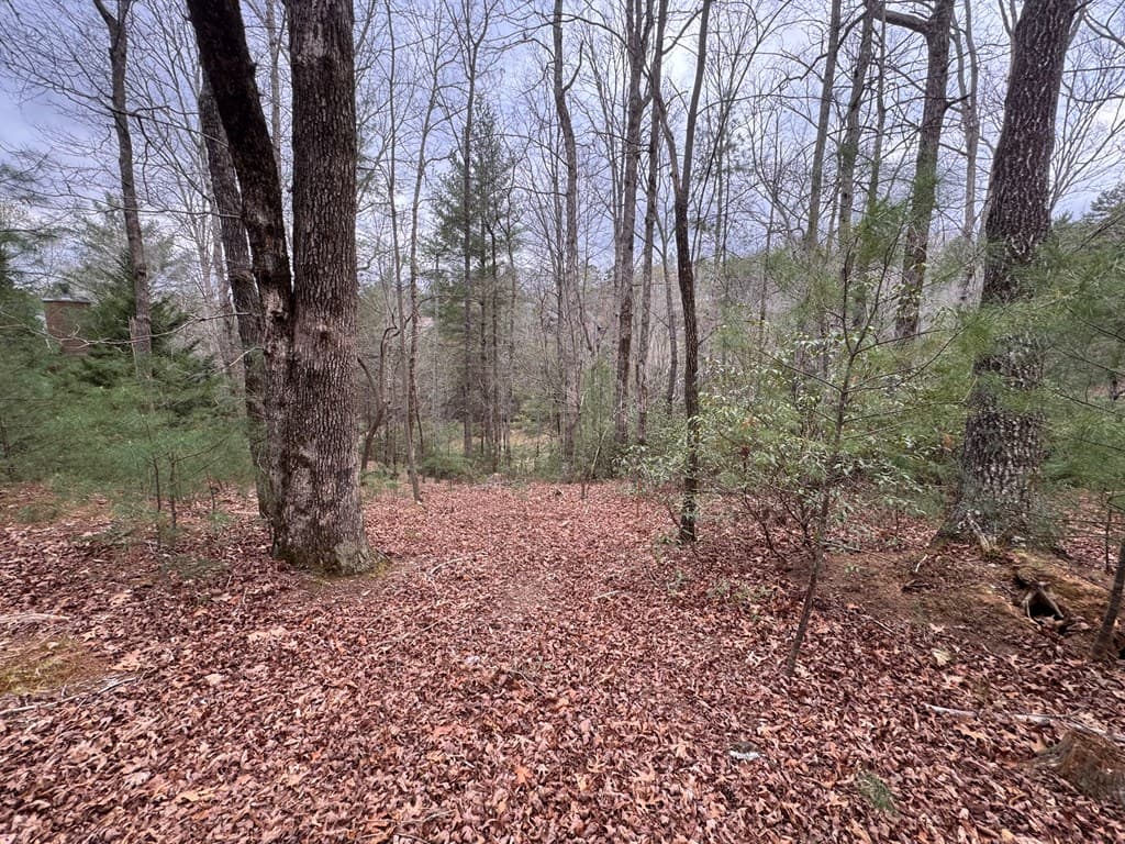 Lot 43 Seneca Drive, Ellijay GA 30540 - Photo