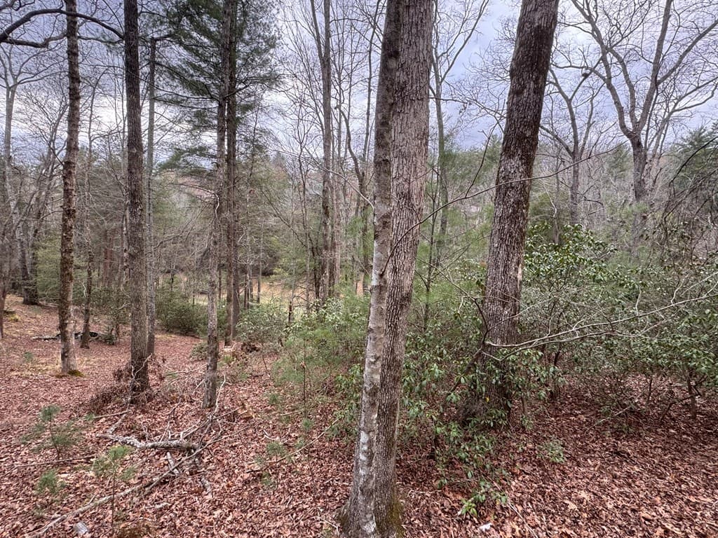 Lot 43 Seneca Drive, Ellijay GA 30540 - Photo