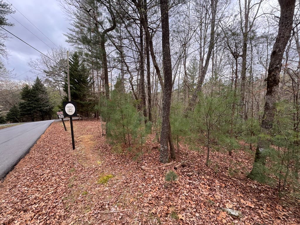 Lot 43 Seneca Drive, Ellijay GA 30540 - Photo