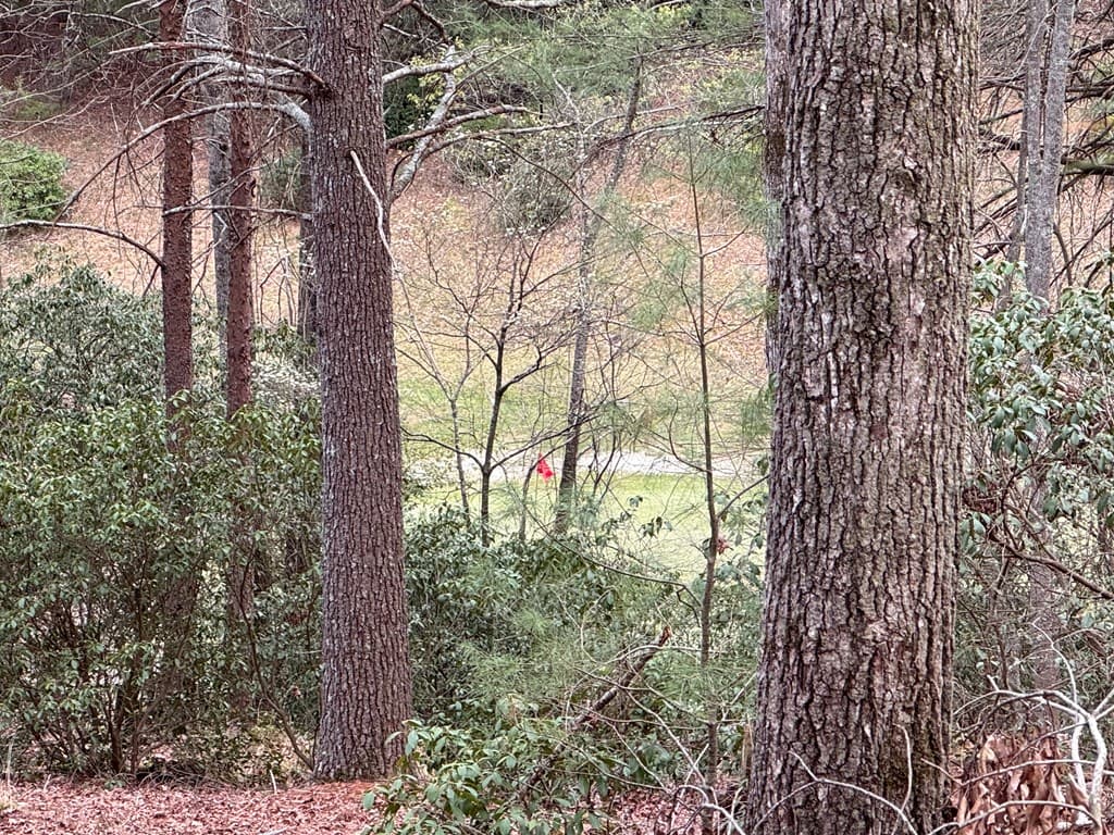 Lot 43 Seneca Drive, Ellijay GA 30540 - Photo