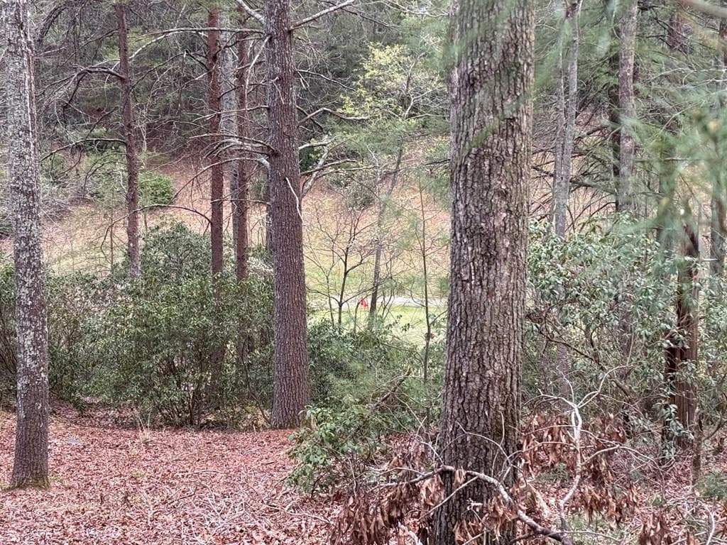 Lot 43 Seneca Drive, Ellijay GA 30540 - Primary photo