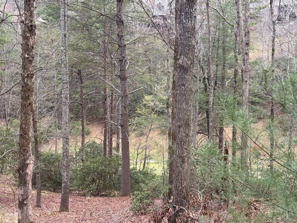 Lot 43 Seneca Drive, Ellijay GA 30540 - Photo