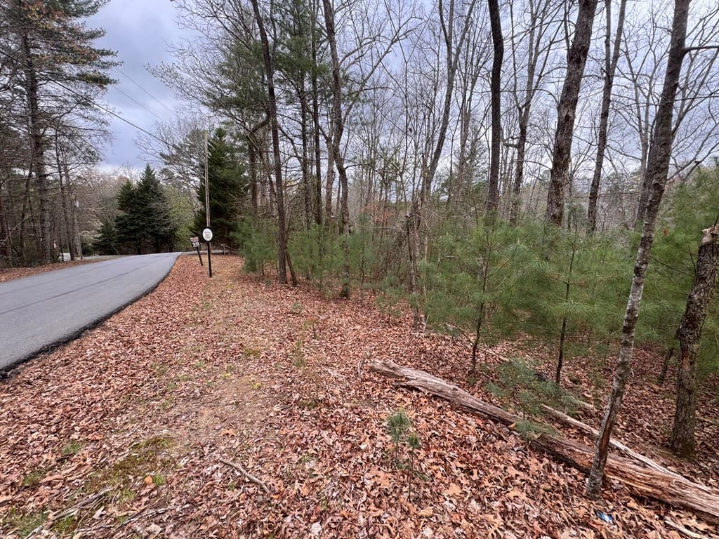 Lot 43 Seneca Drive, Ellijay GA 30540 - Photo