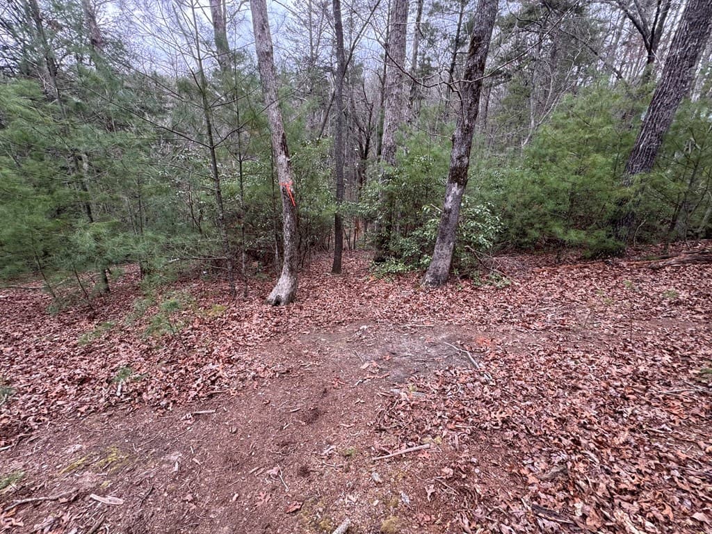 Lot 43 Seneca Drive, Ellijay GA 30540 - Photo