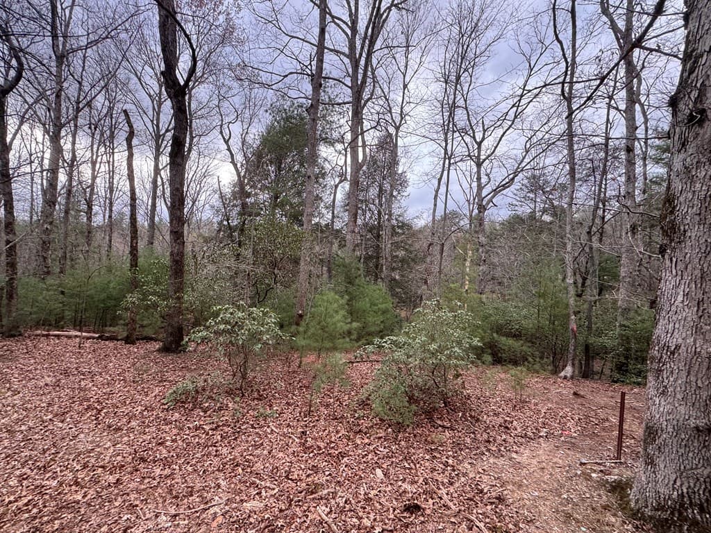 Lot 43 Seneca Drive, Ellijay GA 30540 - Photo