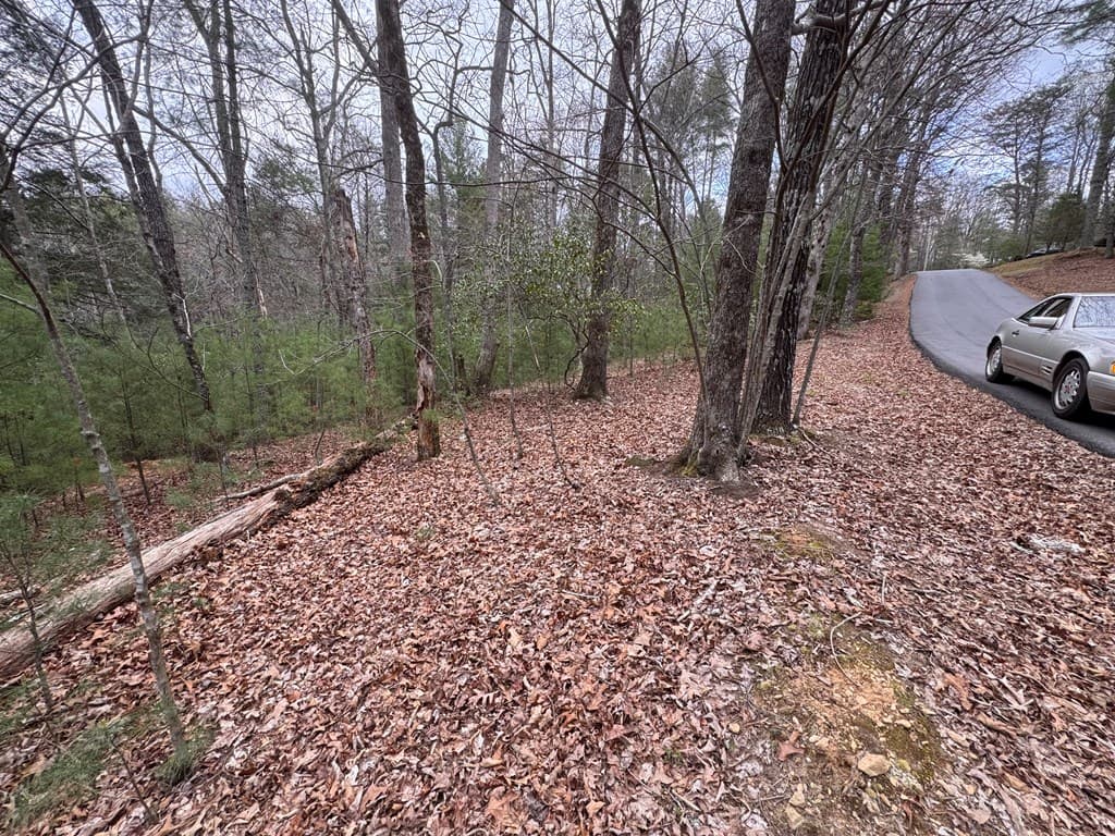 Lot 43 Seneca Drive, Ellijay GA 30540 - Photo