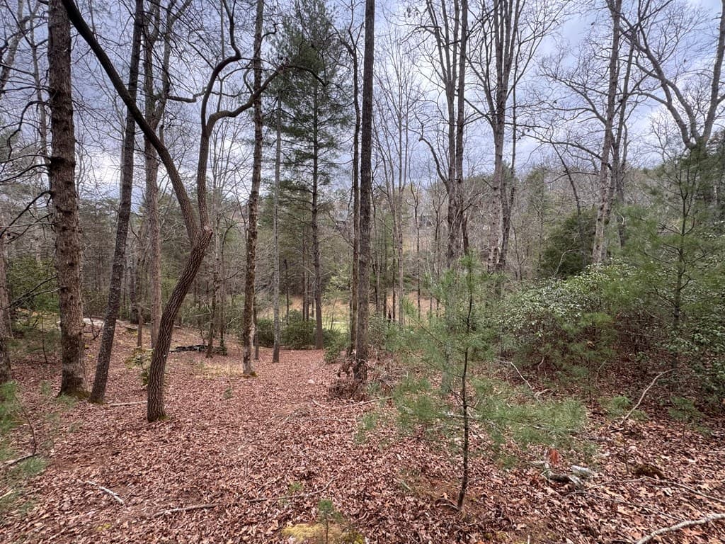 Lot 43 Seneca Drive, Ellijay GA 30540 - Photo