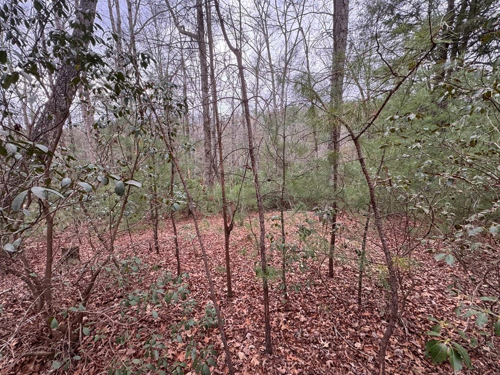 Lot 43 Seneca Drive, Ellijay GA 30540 - Photo