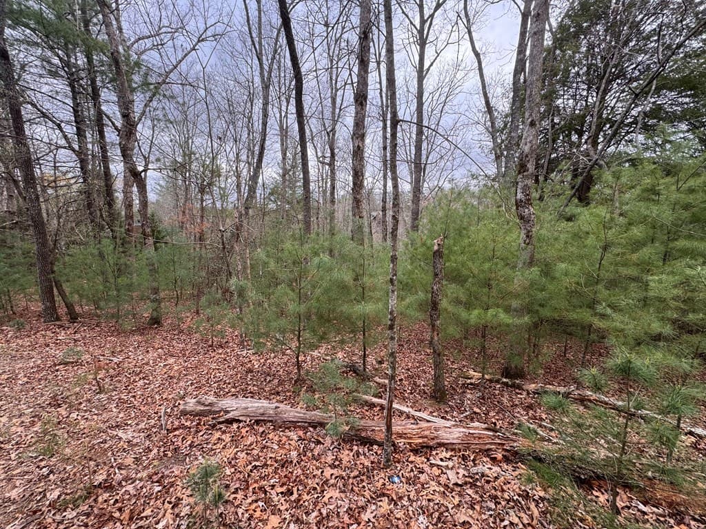 Lot 43 Seneca Drive, Ellijay GA 30540 - Photo