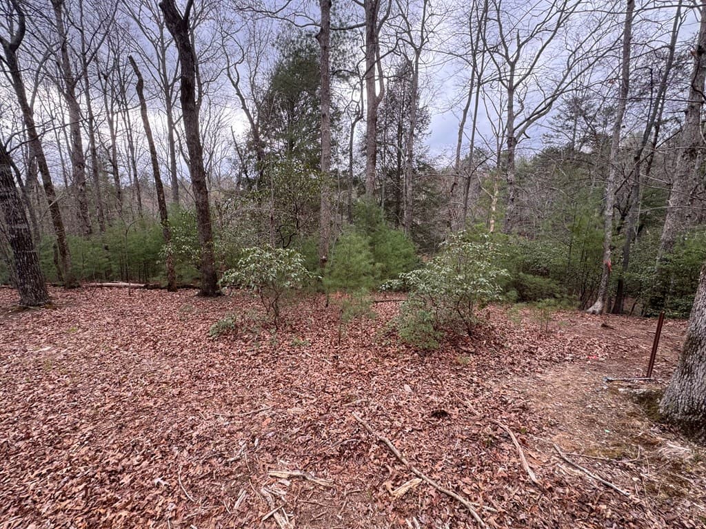 Lot 43 Seneca Drive, Ellijay GA 30540 - Photo