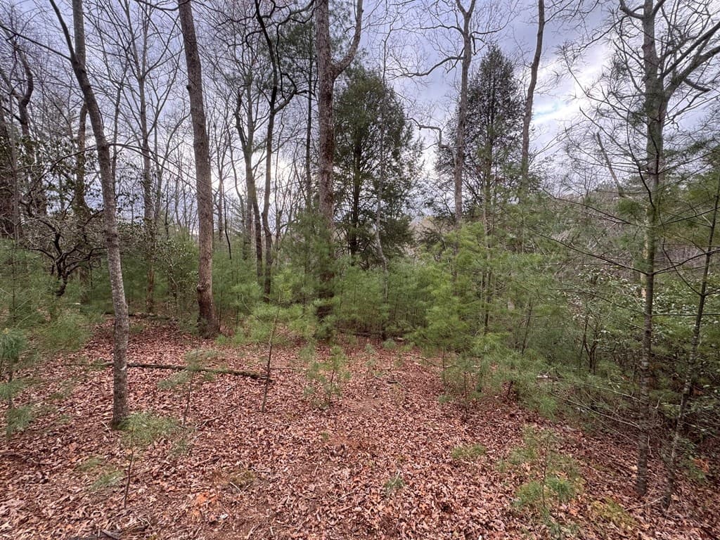 Lot 43 Seneca Drive, Ellijay GA 30540 - Photo