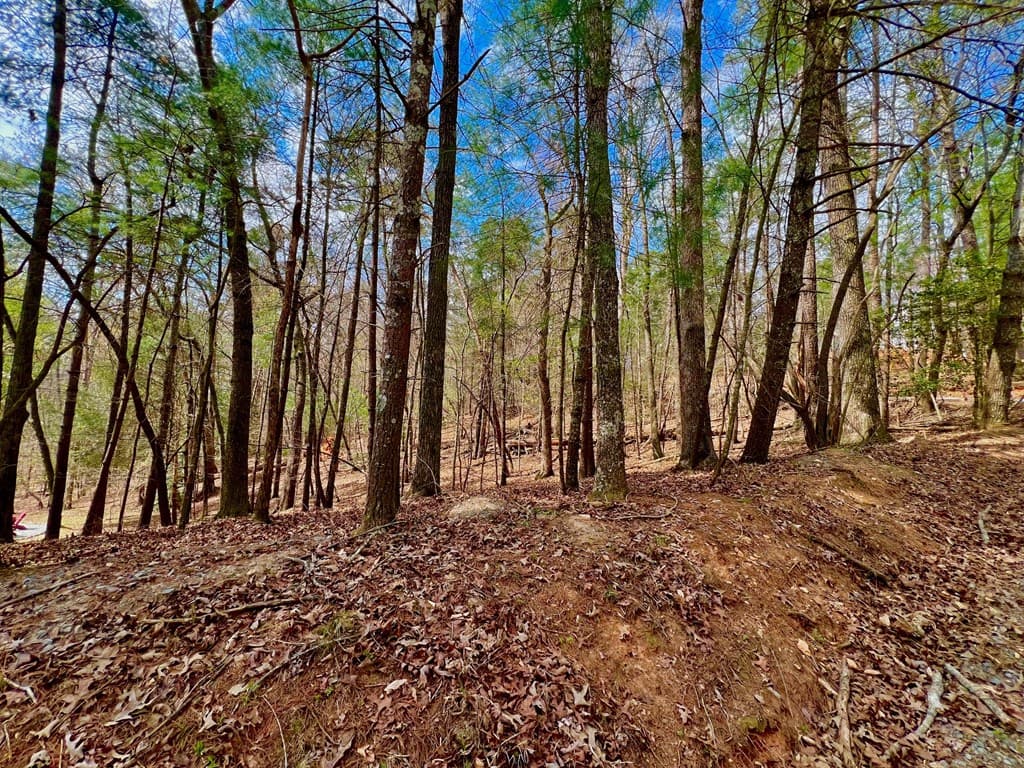 525 Camber Court, Ellijay GA 30540 - Photo