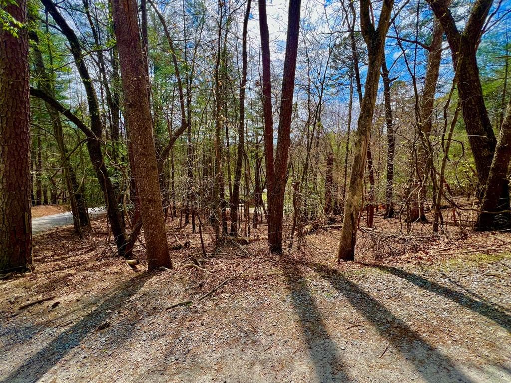 525 Camber Court, Ellijay GA 30540 - Primary photo