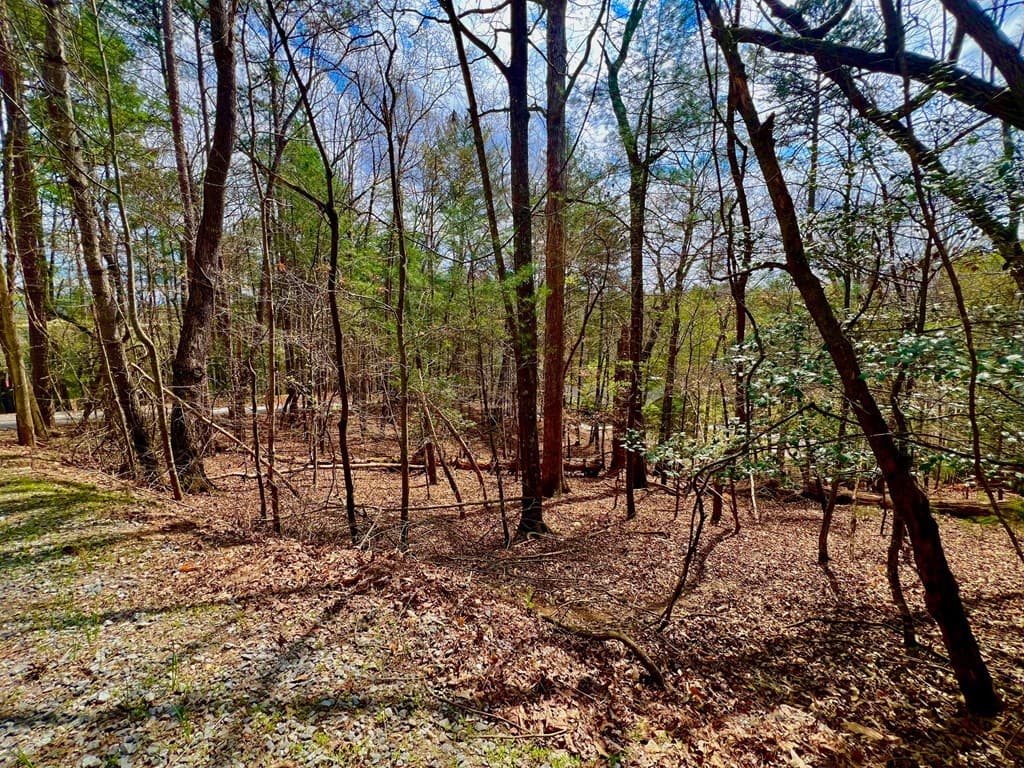 525 Camber Court, Ellijay GA 30540 - Photo