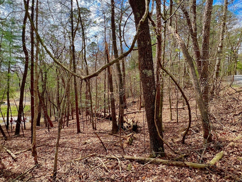 525 Camber Court, Ellijay GA 30540 - Photo