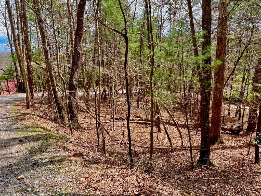 525 Camber Court, Ellijay GA 30540 - Photo