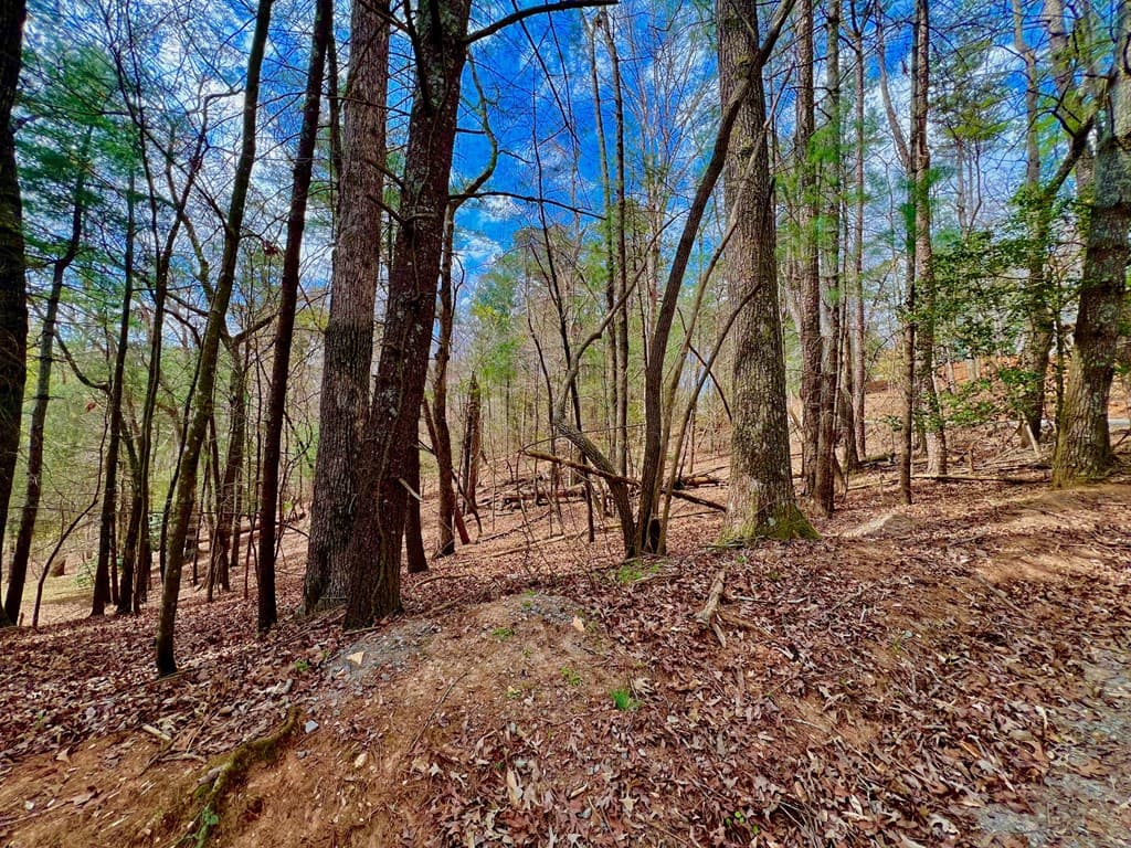 525 Camber Court, Ellijay GA 30540 - Photo