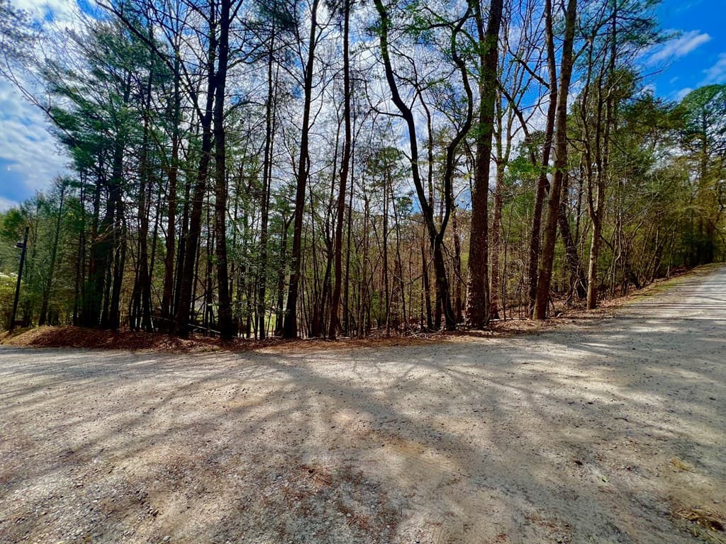 525 Camber Court, Ellijay GA 30540 - Photo