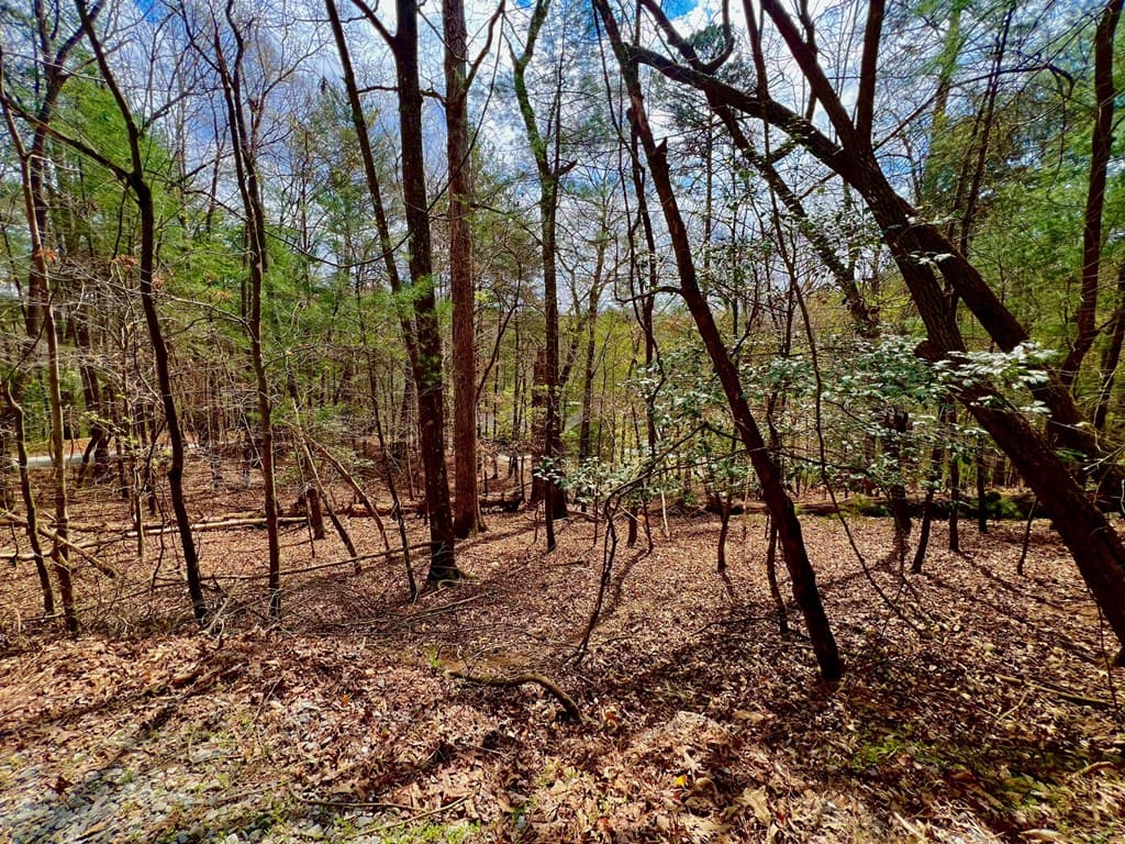 525 Camber Court, Ellijay GA 30540 - Photo