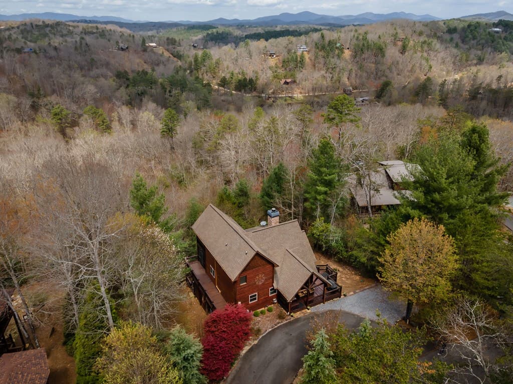 283 Black Gum Lane, Blue Ridge GA 30513 - Photo