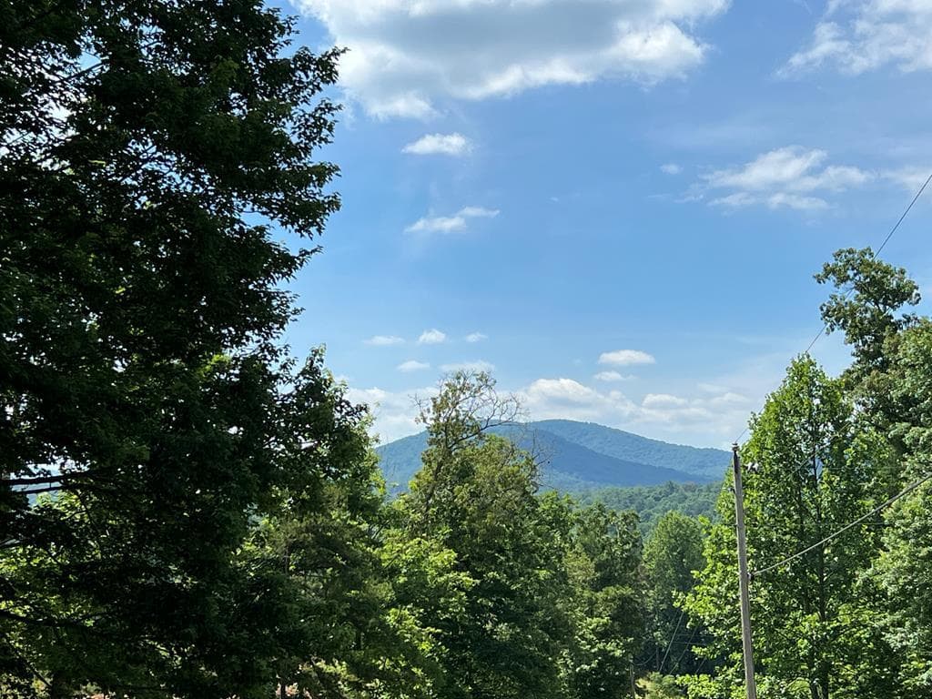 12877 Appalachian Hwy, Morganton GA 30560 - Photo