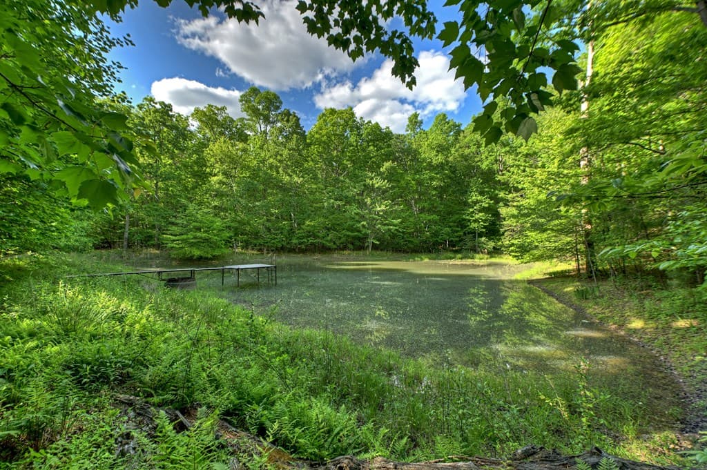 8.52 AC Mcnelley Road, Morganton GA 30560 - Photo