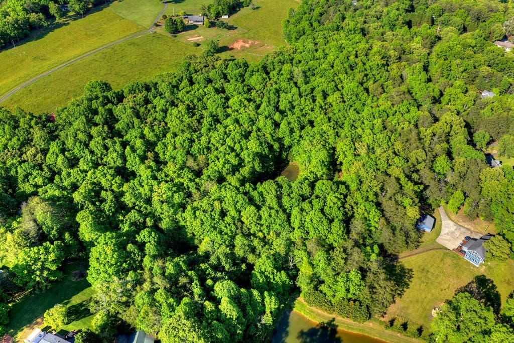 8.52 AC Mcnelley Road, Morganton GA 30560 - Photo