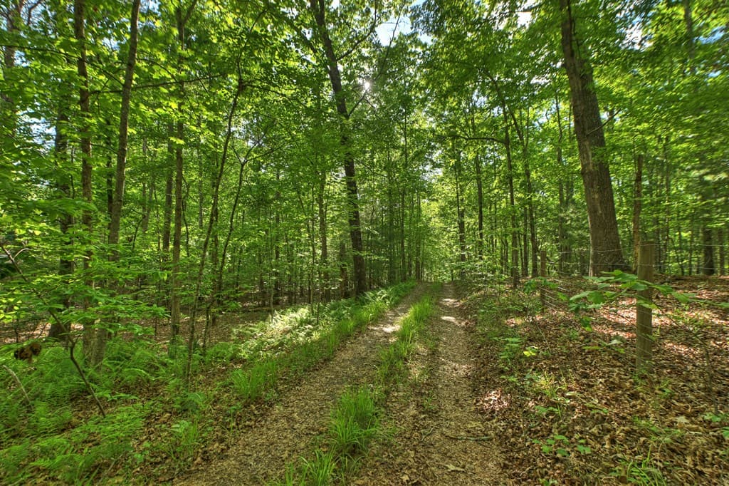 8.52 AC Mcnelley Road, Morganton GA 30560 - Photo