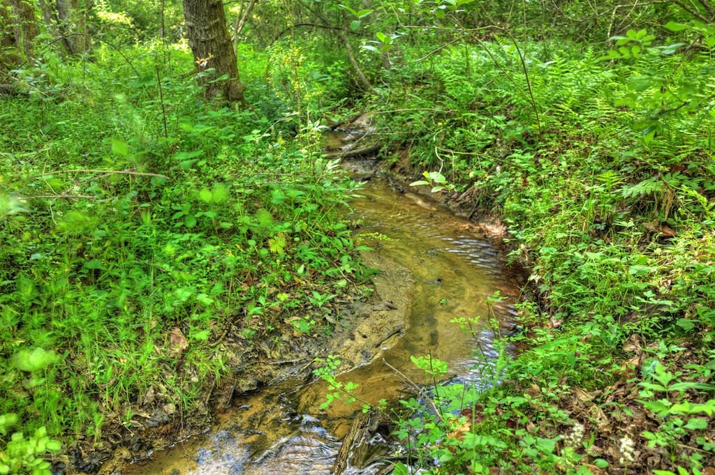 8.52 AC Mcnelley Road, Morganton GA 30560 - Photo