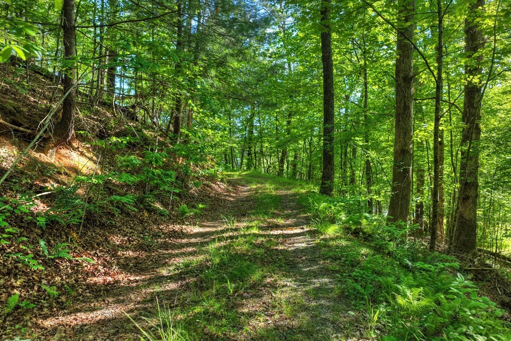 8.52 AC Mcnelley Road, Morganton GA 30560 - Photo