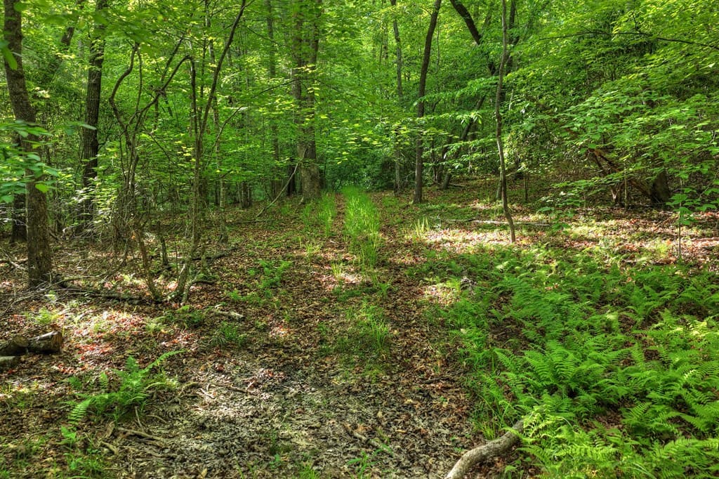 8.52 AC Mcnelley Road, Morganton GA 30560 - Photo