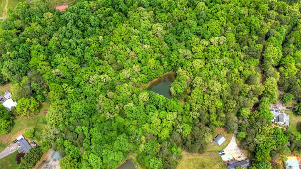 8.52 AC Mcnelley Road, Morganton GA 30560 - Photo