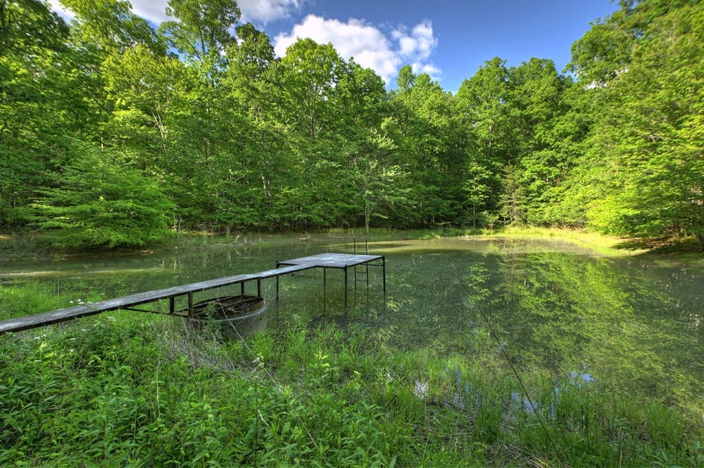 8.52 AC Mcnelley Road, Morganton GA 30560 - Photo