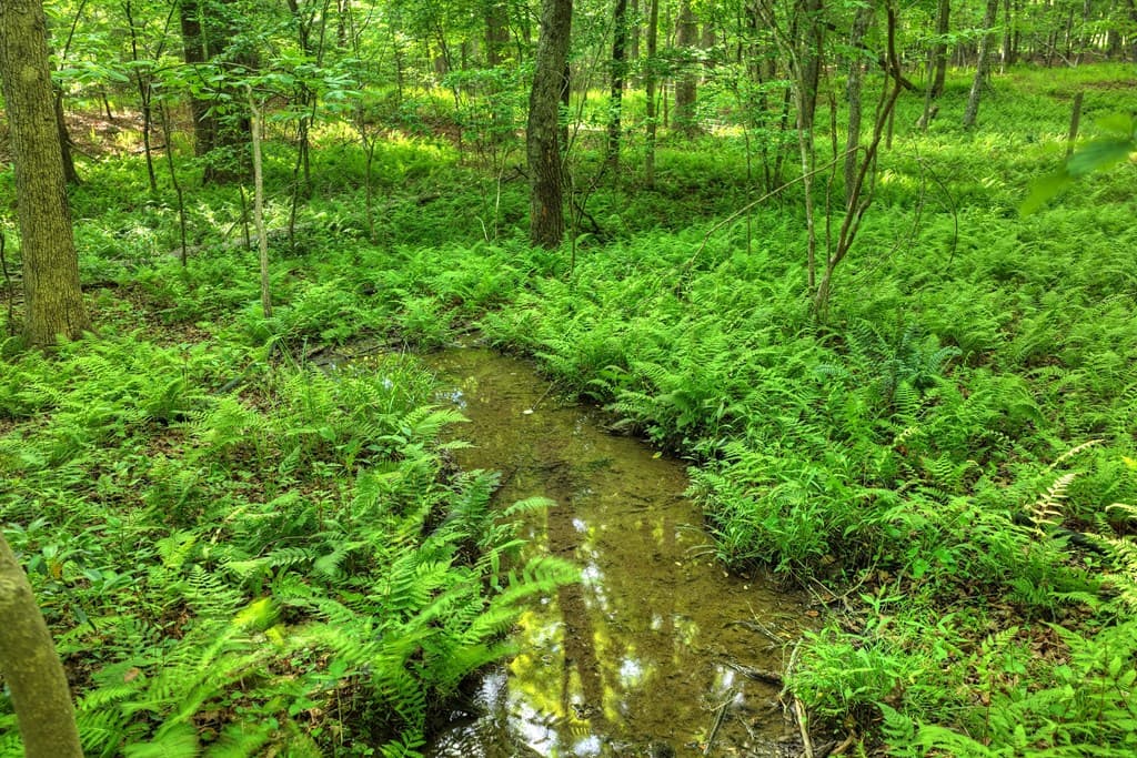 8.52 AC Mcnelley Road, Morganton GA 30560 - Photo