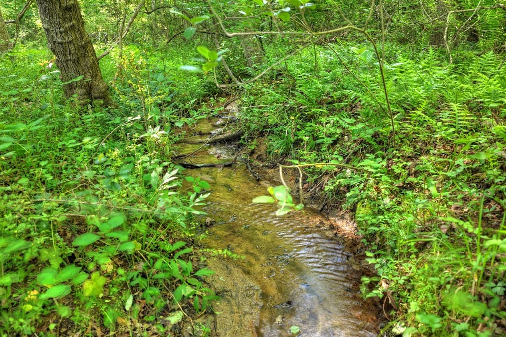 8.52 AC Mcnelley Road, Morganton GA 30560 - Photo