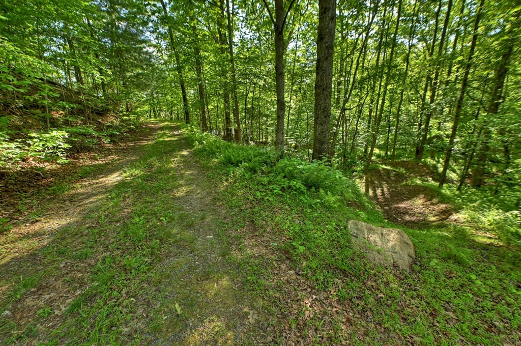 8.52 AC Mcnelley Road, Morganton GA 30560 - Photo