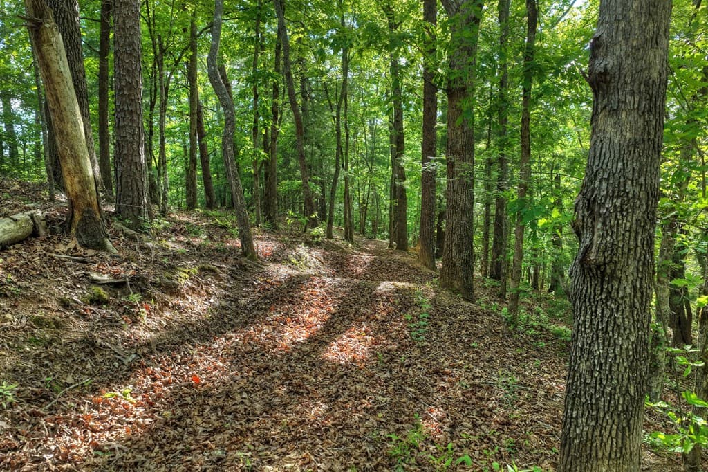 8.52 AC Mcnelley Road, Morganton GA 30560 - Photo