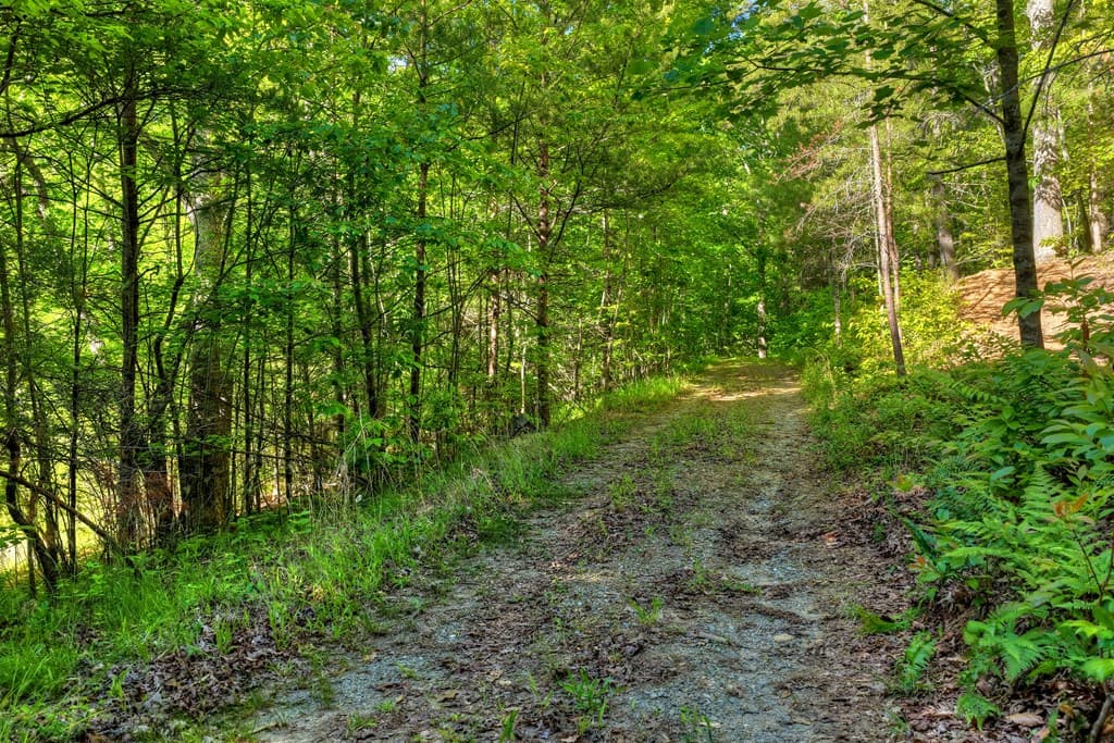 8.52 AC Mcnelley Road, Morganton GA 30560 - Photo